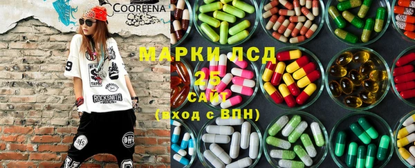 индика Балахна