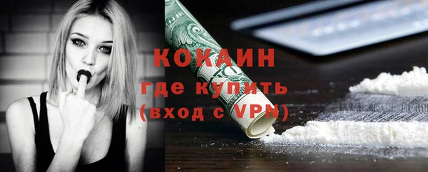 стафф Снежногорск