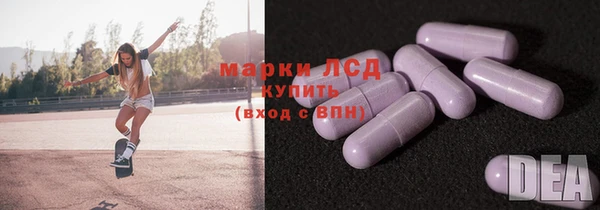 индика Балахна