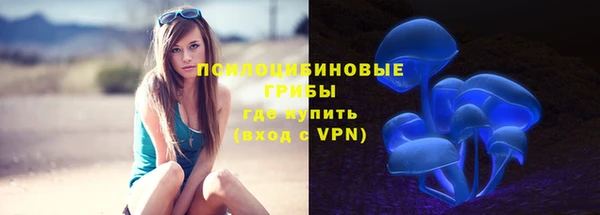 гидра Арсеньев