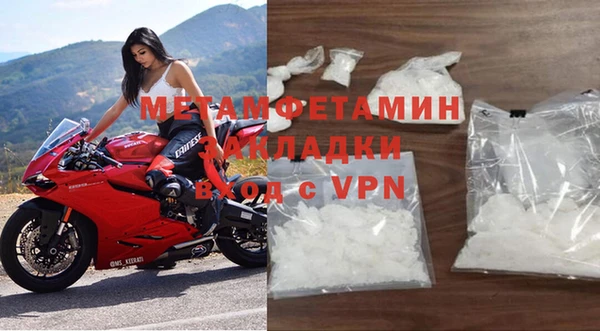 индика Аркадак