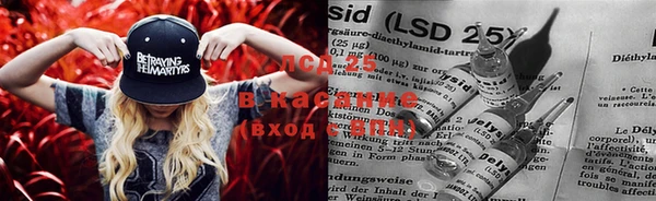 гашик Баксан