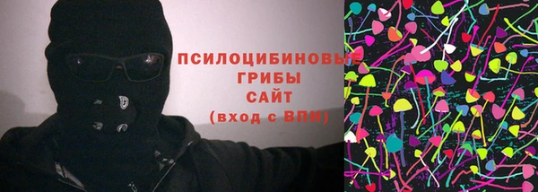 гашик Баксан