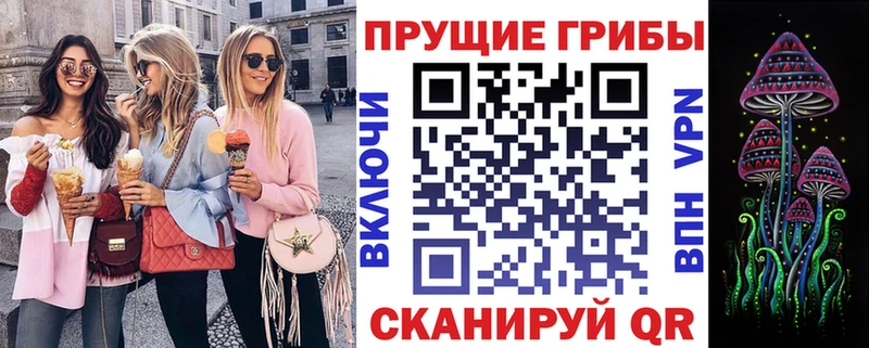 кракен ссылки купить закладку Венёв Псилоцибиновые грибы GOLDEN TEACHER